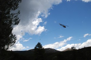 Helicopter Logging dead standing Doug Fir