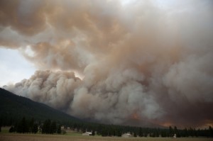 Montana Forest Fire