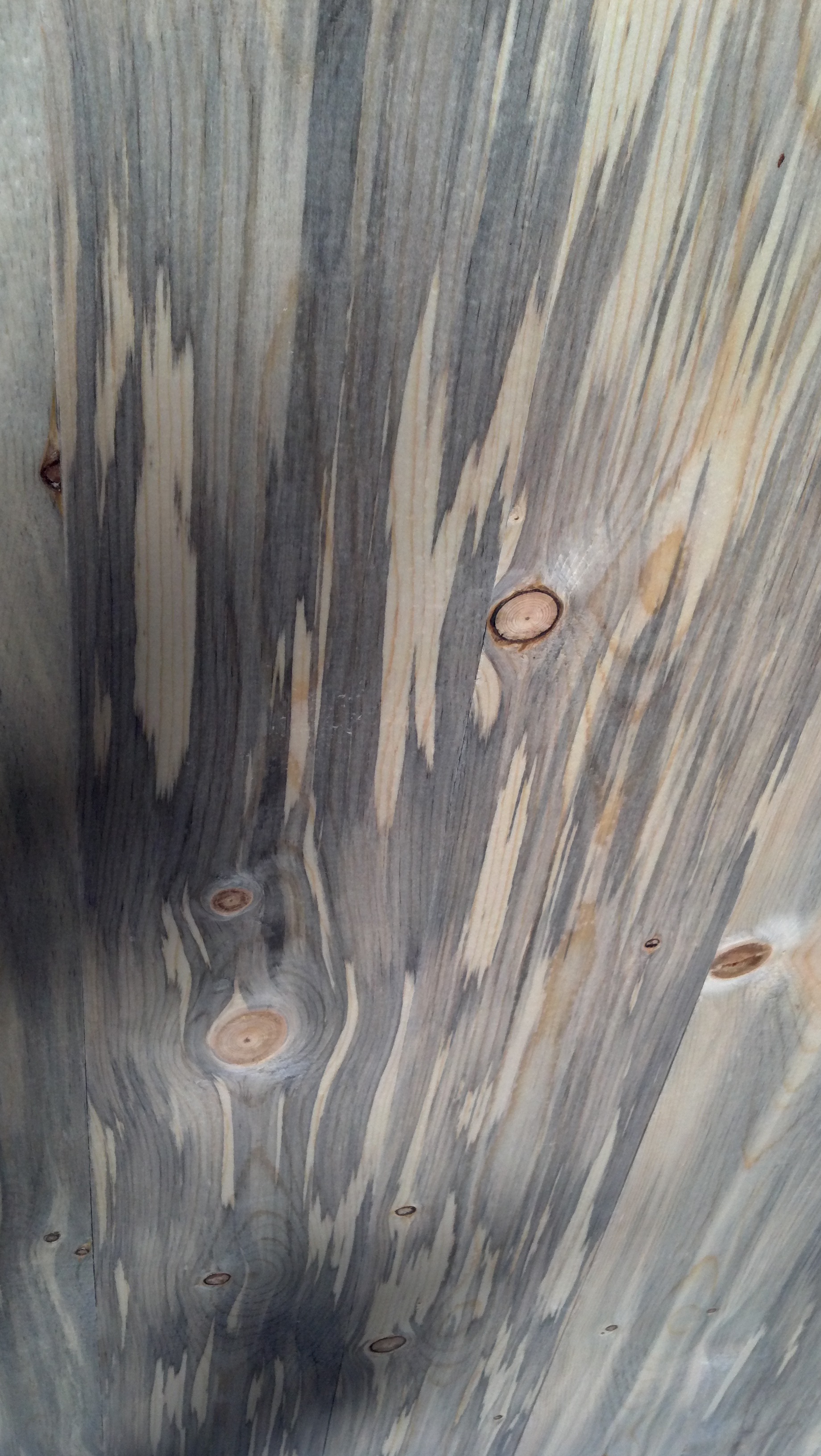 Beetle Kill Pine Paneling Sustainable Lumber Company