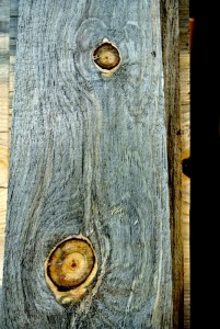 Dark Blue Stain Beetle Kill Pine Boards - Sustainable Lumber Company