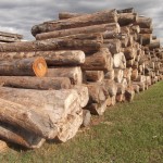 Reclaimed Timber from Blackfoot River Montana reclaimed wood