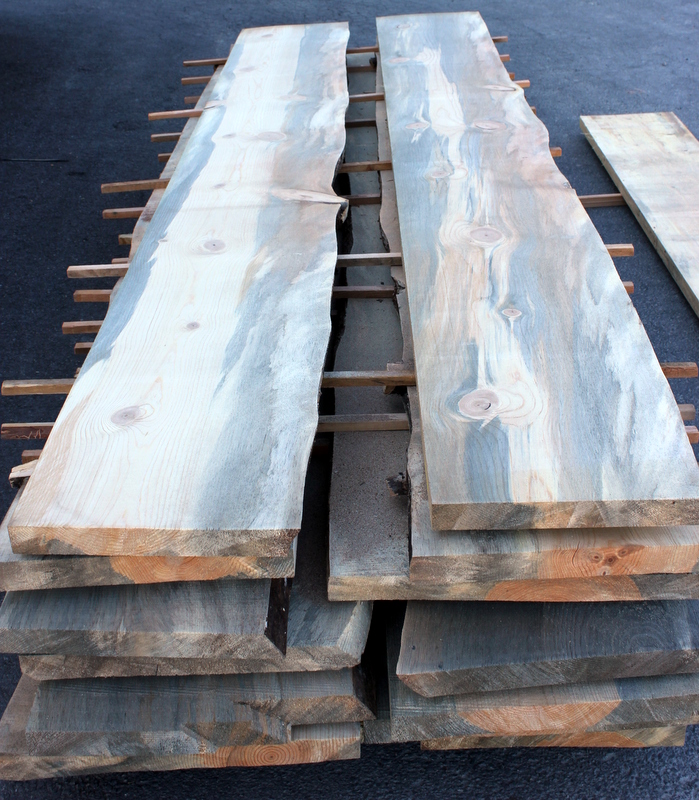 rough sawn beetle killed blue stain pine slabs - Sustainable Lumber Company