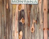 beetle kill pine wall