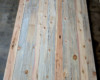 Beetle kill blue pine