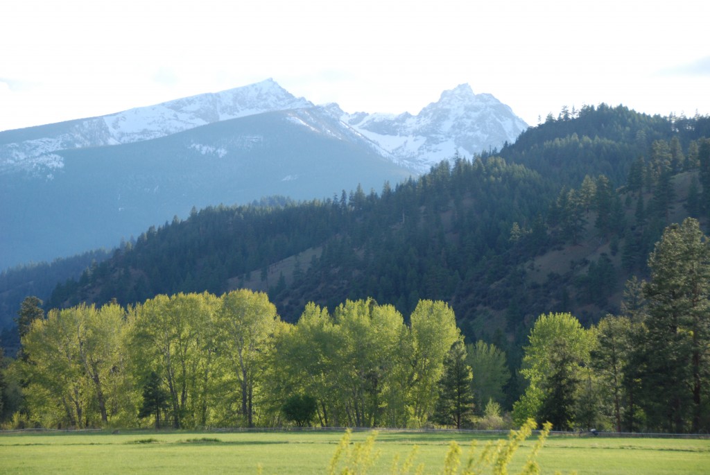 Montana's Bitterroot Valley Mountain Range Sustainable Lumber Company