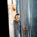 Sustainable Select Blue stain pine