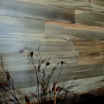 beetle kill pine wall paneling