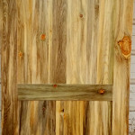 beetle kill pine interior door