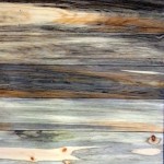 blue pine paneling