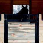beetle kill blue pine paneling