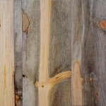 blue pine