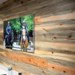 beetle kill blue pine wall