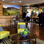 beetle kill pine wood walls