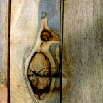 Blue stain pine knot
