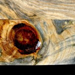 End Cut Blue Stain Pine