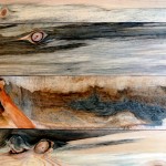 Hand selected beetle kill pine