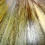 blue stain pine table tops