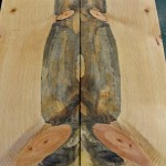 Book match beetle kill pine slab