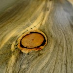 Beetle kill pine table tops