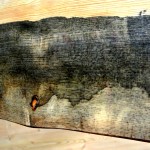Blue stain pine table tops