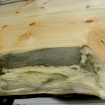Beetle kill pine slabs