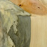 Beetle kill pine slabs