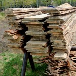 Beetle kill pine planks