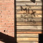 blue pine wall