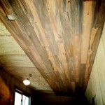 Beetle kill pine ceiling