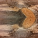 beetle kill pine table