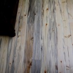 Colorado beetle kill pine