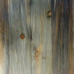Beetle kill pine paneling