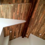 photo 1 (19)