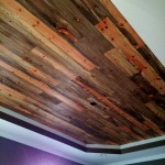 photo 4 (10)