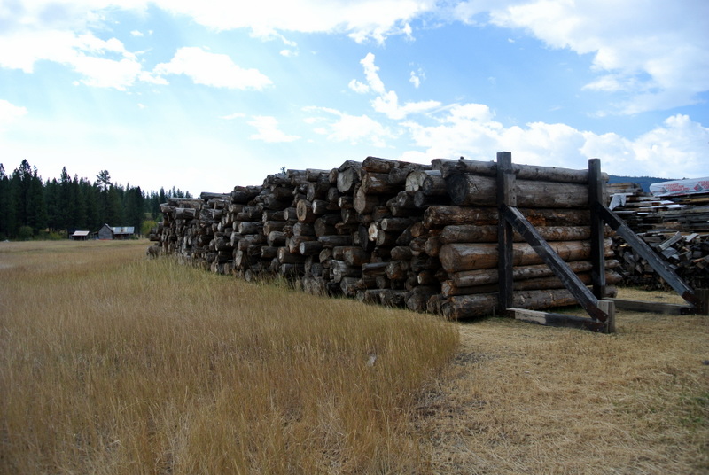 Reclaimed Sinker Logs from Blackfoot River Sustainable Lumber Company