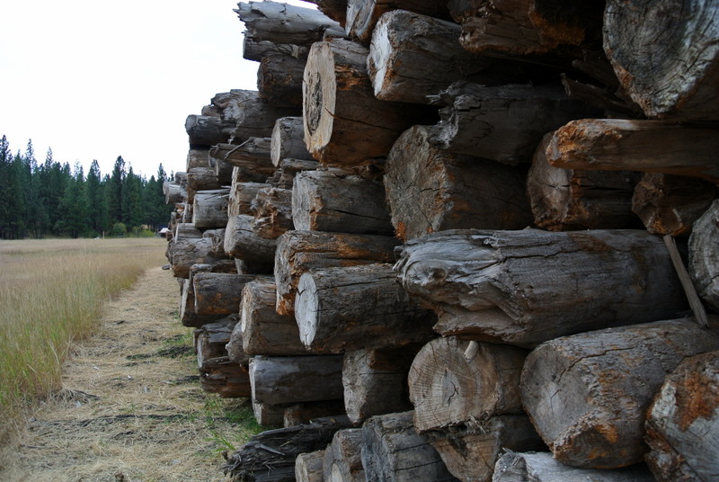 Blackfoot River Montana Sinker logs - Sustainable Lumber ...