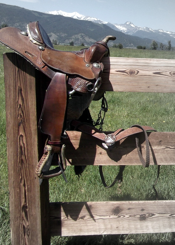 Saddle Wood Sustainable Lumber Company