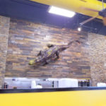 recycled pallet wood wall
