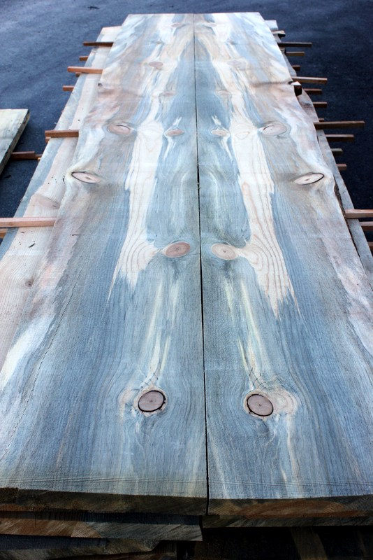 Blue Stain Pine Lumber - NEW