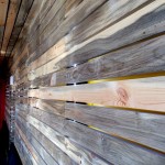 Slat wall beetle kill pine