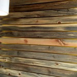 beetle kill pine wall art