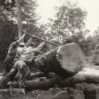 History of Lumberjacks & Logging in the 1800s - Photography
