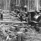 History of Lumberjacks & Logging in the 1800s - Photography