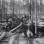 History of Lumberjacks & Logging in the 1800s - Photography