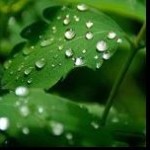 Rain fall
