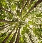 IMAGE BY AFTAB UZZAMAN / FLICKR.COM