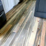 Mountain pine beetle floor