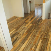 Beetle blue pine floors