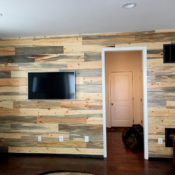 blue pine shiplap wall