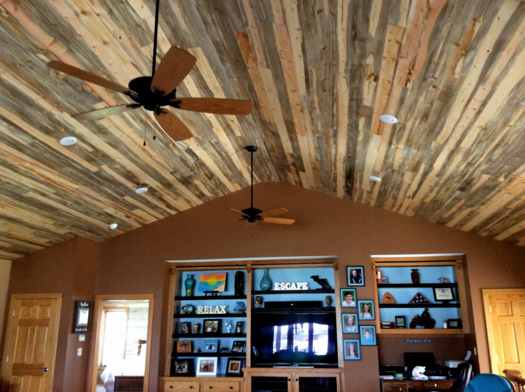 Blue Pine Wall Planks Paneling Beetle Kill Sustainable